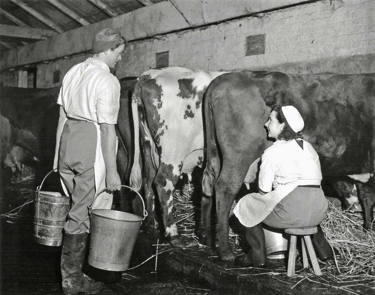 Vintage Photos of Land Girls During World War II: The Women Who Kept Britain Growing