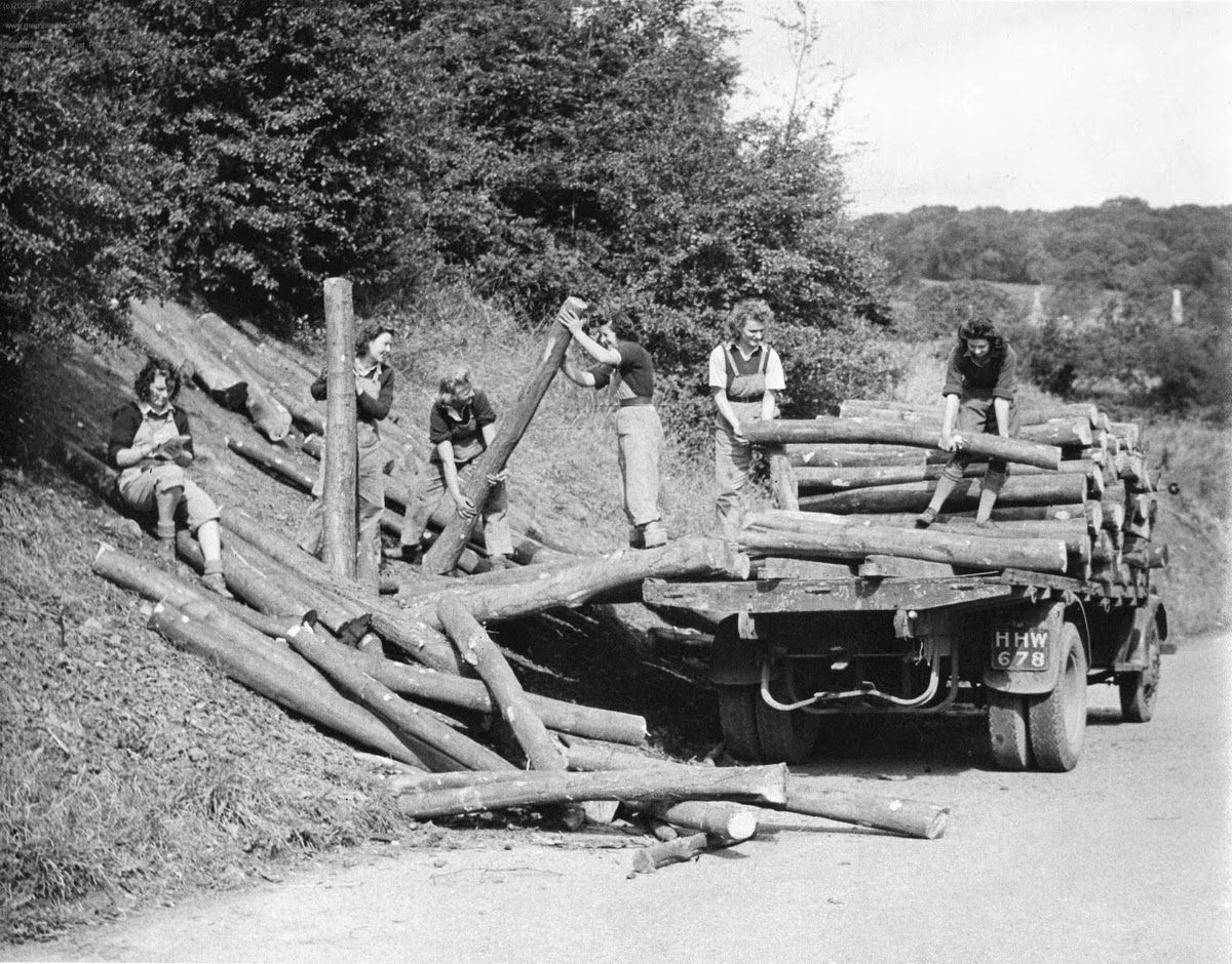 Vintage Photos of Land Girls During World War II: The Women Who Kept Britain Growing