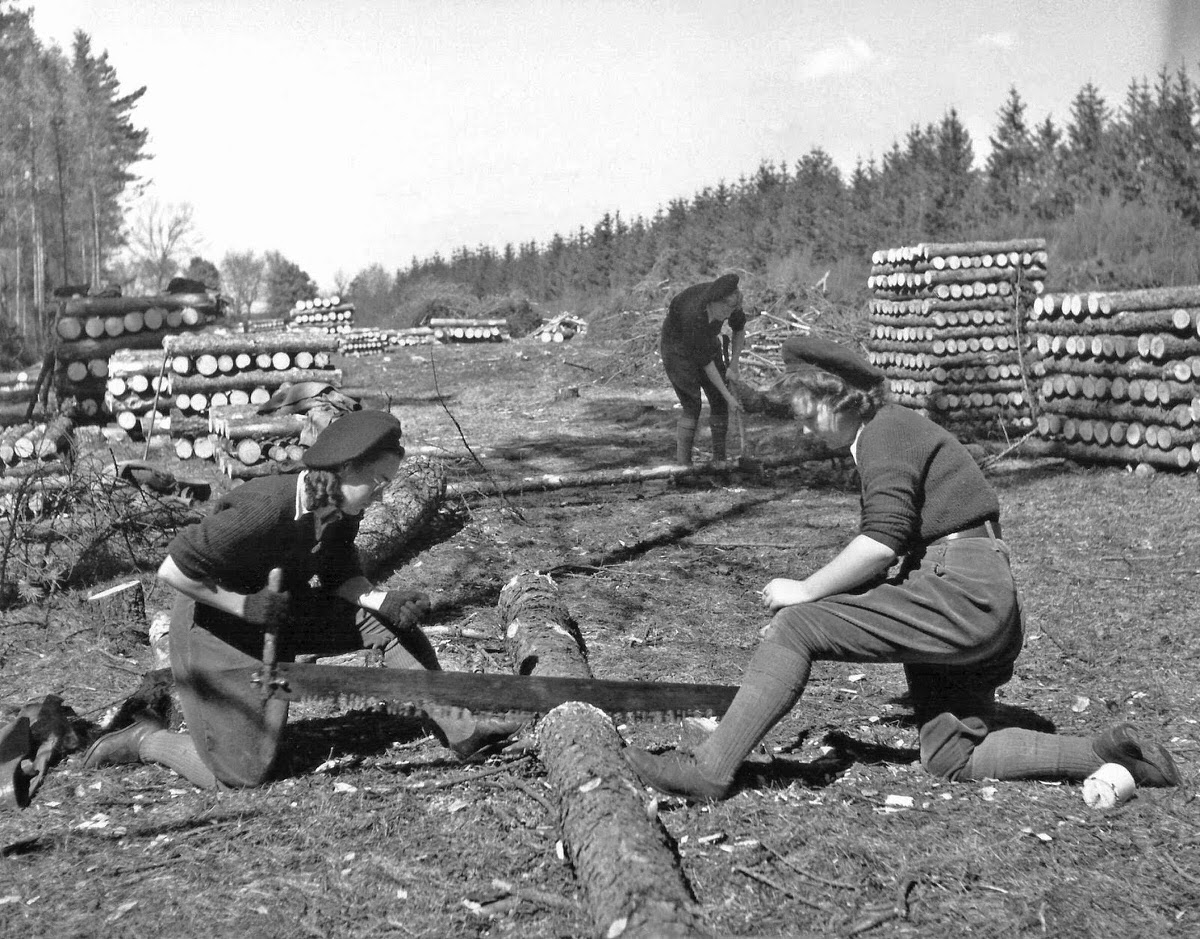 Vintage Photos of Land Girls During World War II: The Women Who Kept Britain Growing