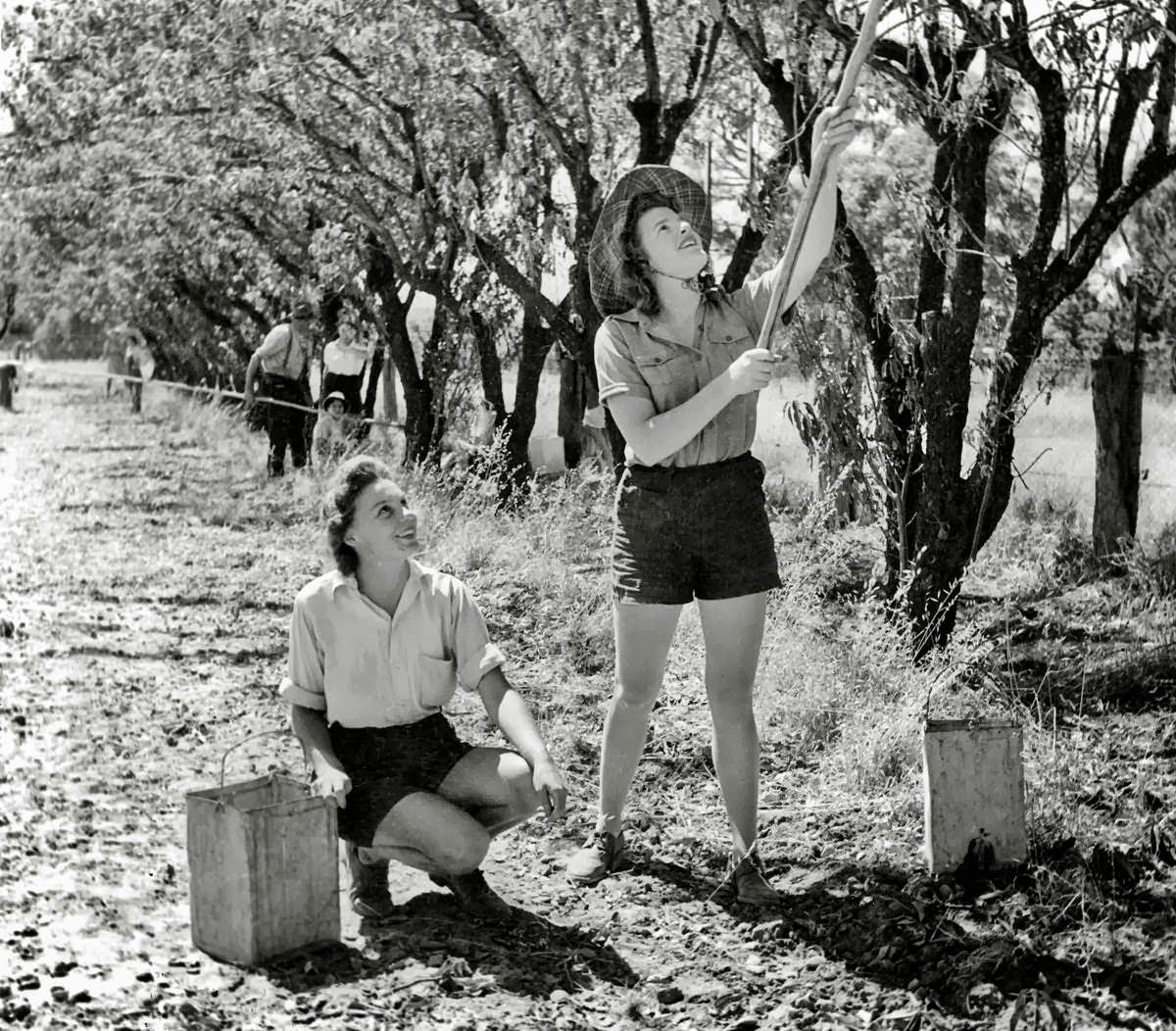 Vintage Photos of Land Girls During World War II: The Women Who Kept Britain Growing