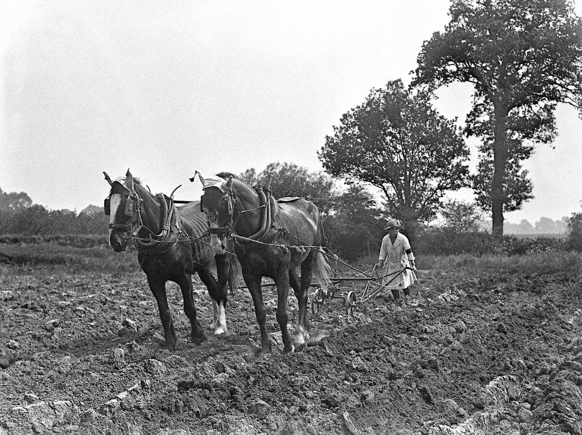 Vintage Photos of Land Girls During World War II: The Women Who Kept Britain Growing