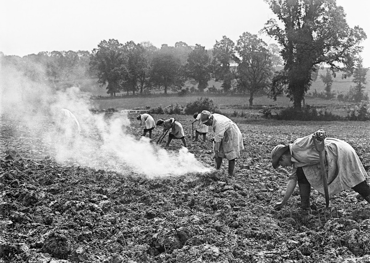 Vintage Photos of Land Girls During World War II: The Women Who Kept Britain Growing