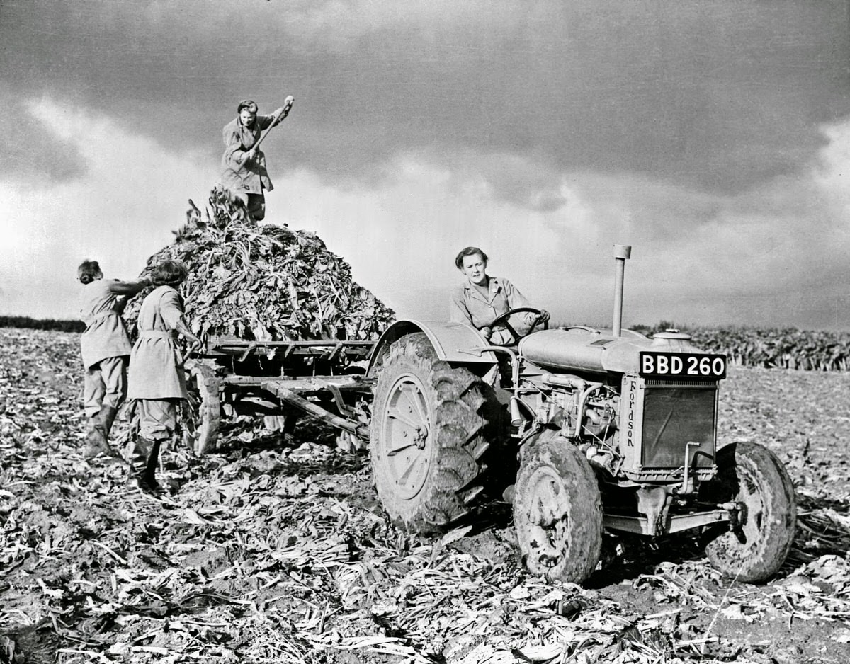 Vintage Photos of Land Girls During World War II: The Women Who Kept Britain Growing