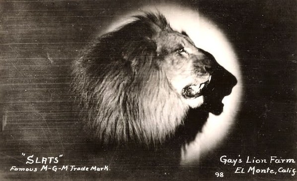 The Story Behind the Roar: MGM Lion Logos in Behind-the-Scenes Photos