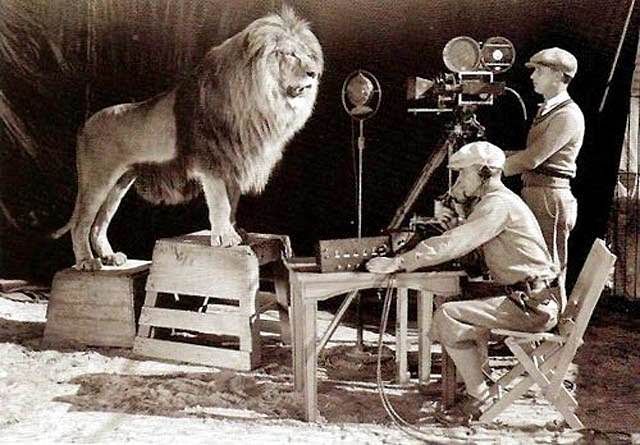 The Story Behind the Roar: MGM Lion Logos in Behind-the-Scenes Photos