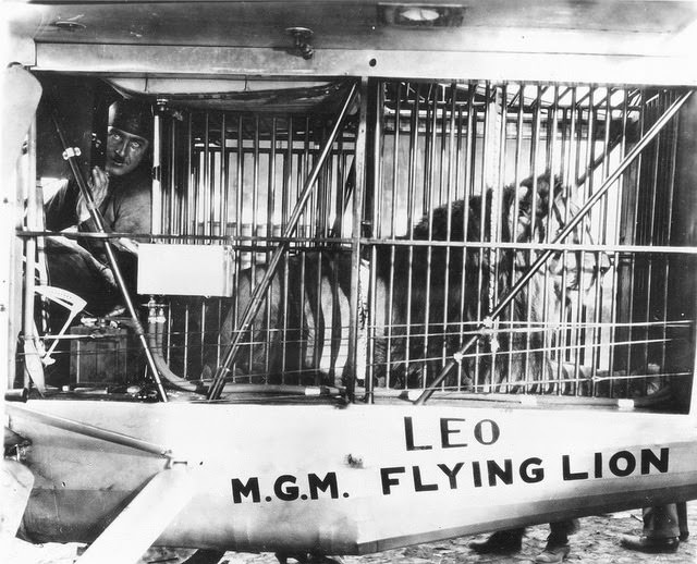 The Story Behind the Roar: MGM Lion Logos in Behind-the-Scenes Photos