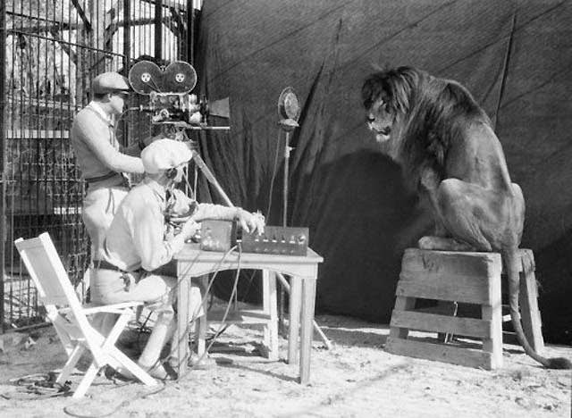 The Story Behind the Roar: MGM Lion Logos in Behind-the-Scenes Photos