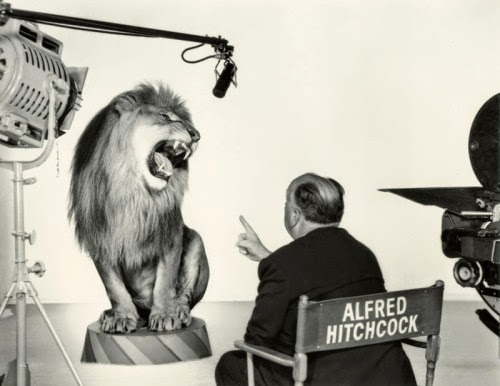 The Story Behind the Roar: MGM Lion Logos in Behind-the-Scenes Photos