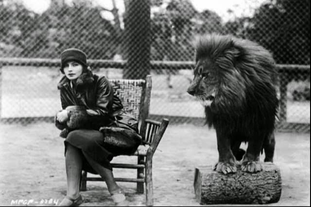 The Story Behind the Roar: MGM Lion Logos in Behind-the-Scenes Photos