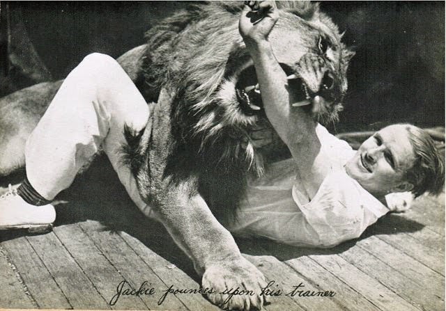 The Story Behind the Roar: MGM Lion Logos in Behind-the-Scenes Photos