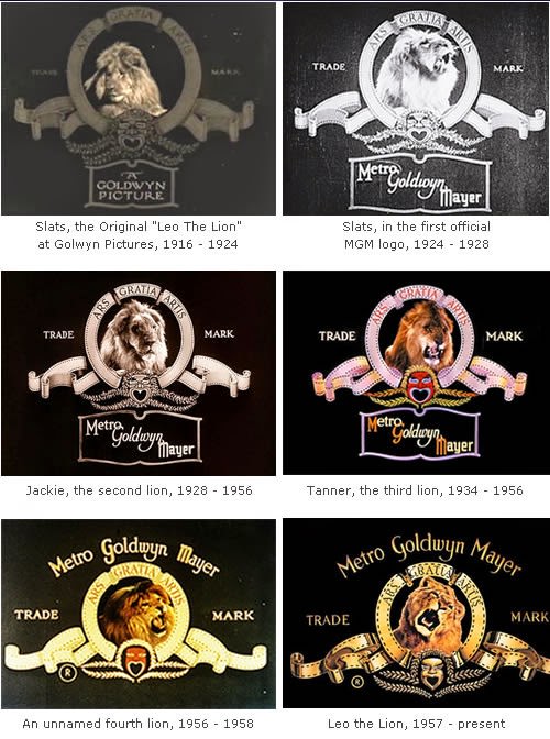 The Story Behind the Roar: MGM Lion Logos in Behind-the-Scenes Photos