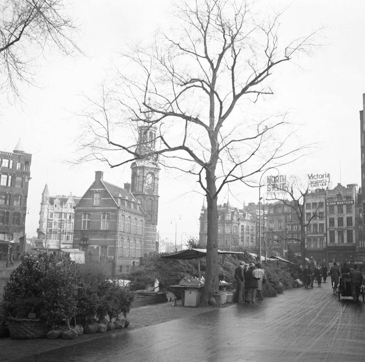 Ship carrying Christmas trees on the Singel in Amsterdam, 1931