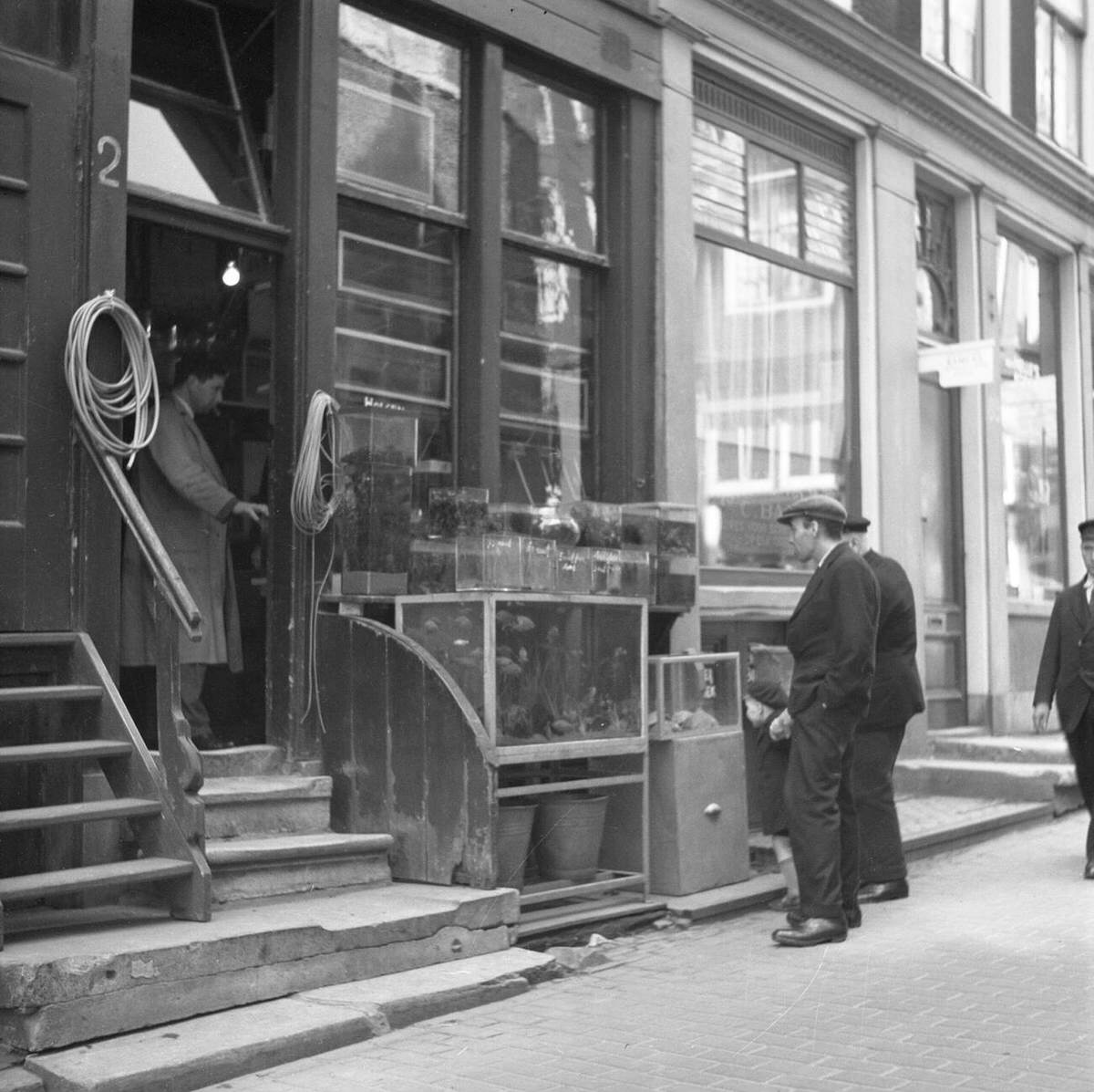 Passers-by looking at a shop with aquariums, 1932