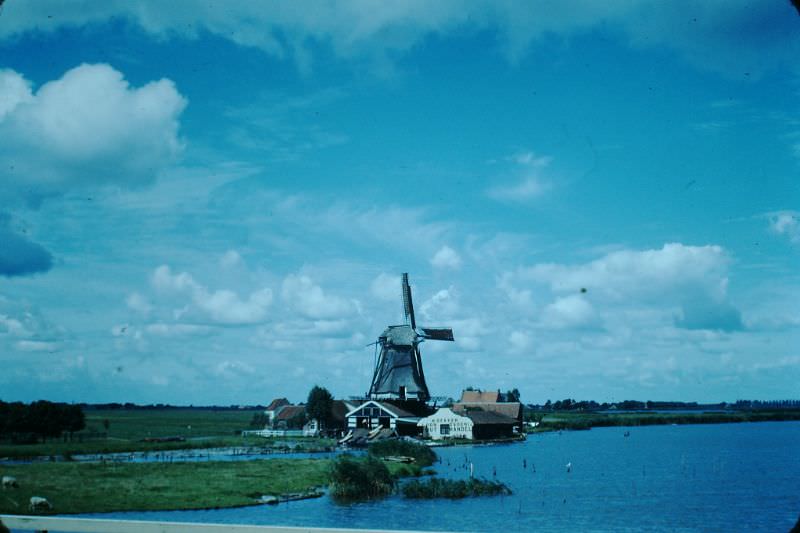 Windmill near Volendam, 1949