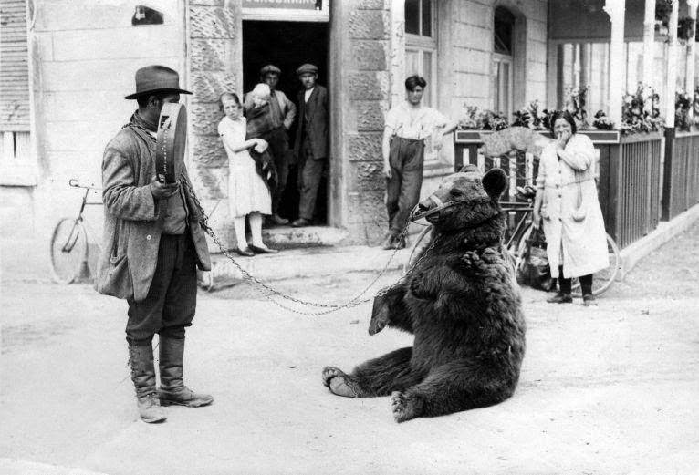 Animal trainer with chained performing bear in the street.