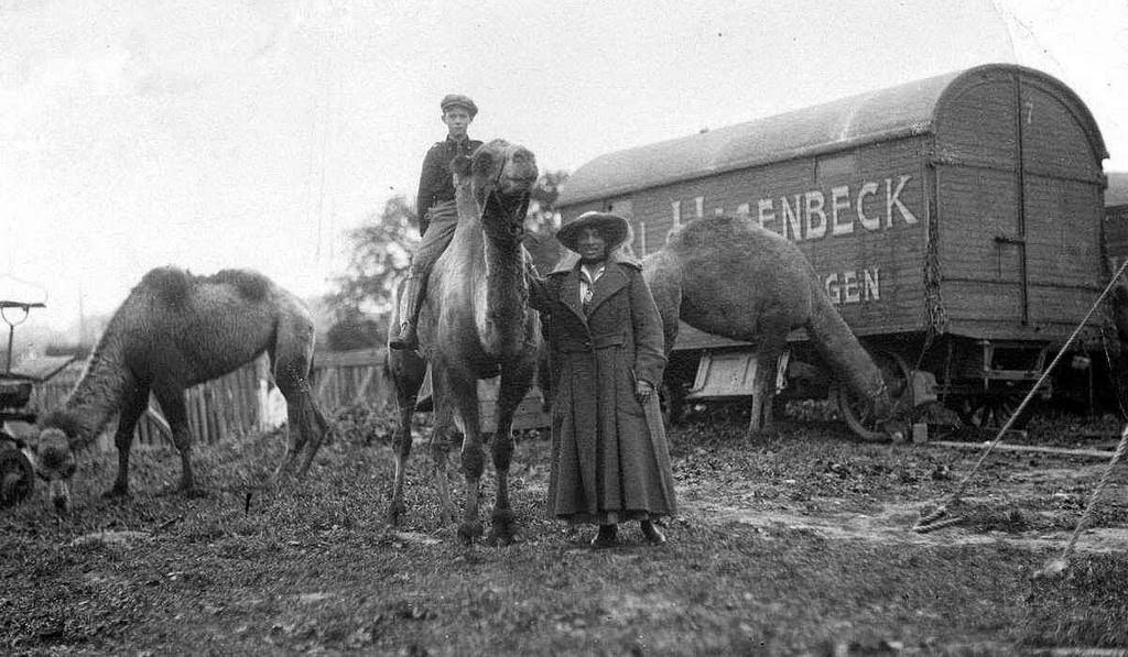 Historic Photos of Circus Life in the Netherlands in the Early 1900s Capture a Lost World