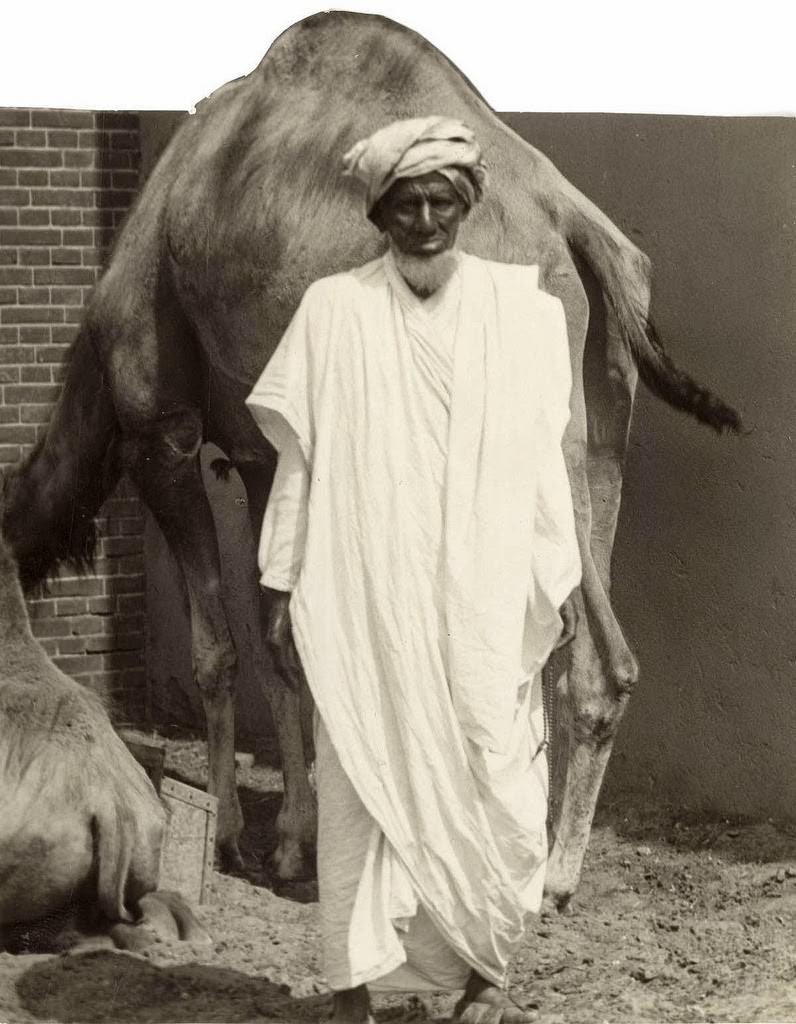 Historic Photos of Circus Life in the Netherlands in the Early 1900s Capture a Lost World