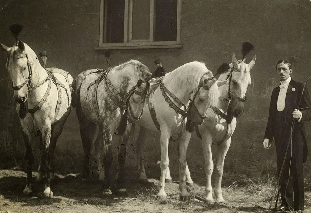 Historic Photos of Circus Life in the Netherlands in the Early 1900s Capture a Lost World