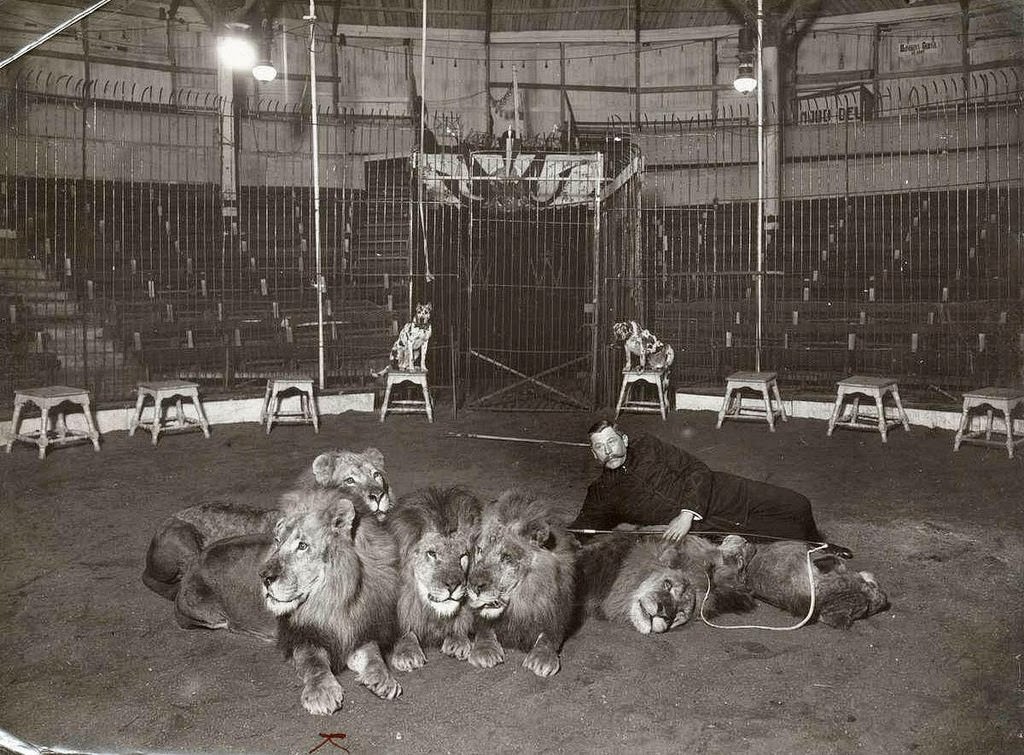 Historic Photos of Circus Life in the Netherlands in the Early 1900s Capture a Lost World