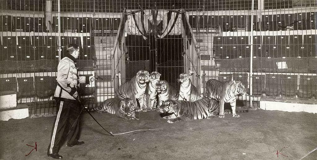 Historic Photos of Circus Life in the Netherlands in the Early 1900s Capture a Lost World