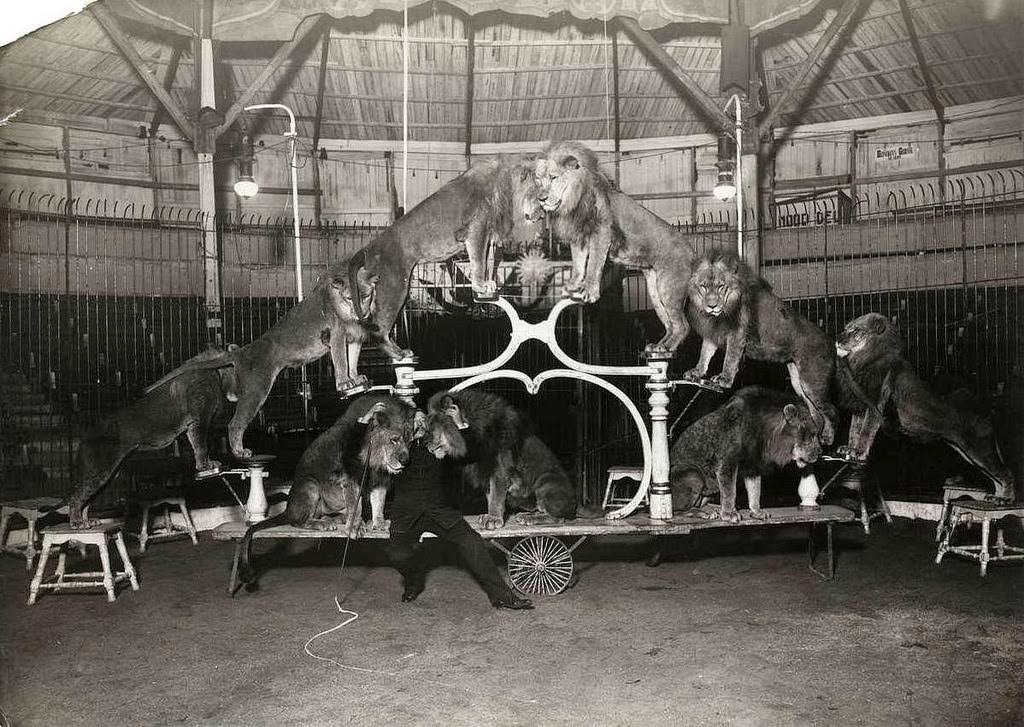 Historic Photos of Circus Life in the Netherlands in the Early 1900s Capture a Lost World