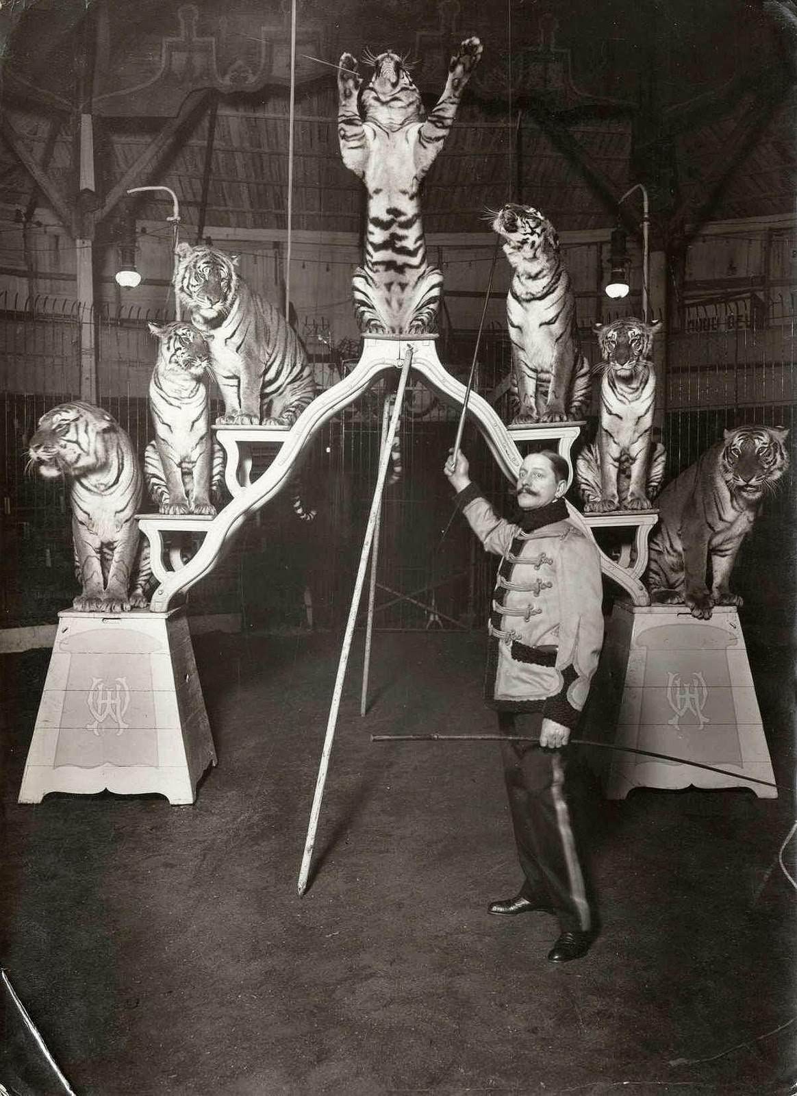 Historic Photos of Circus Life in the Netherlands in the Early 1900s Capture a Lost World