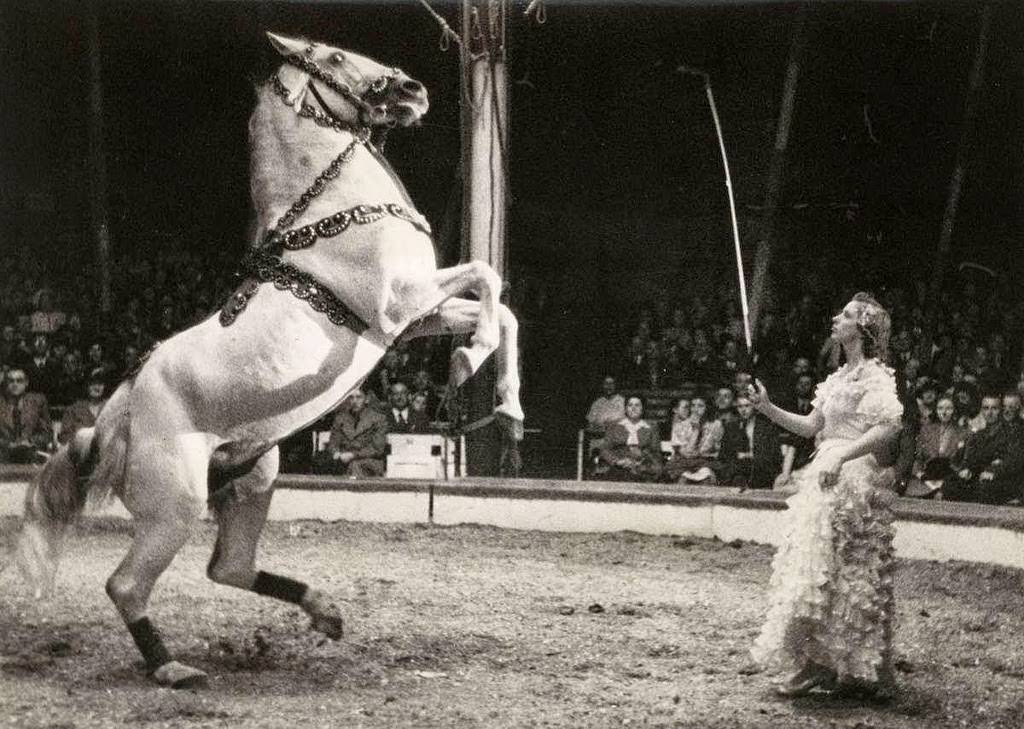 Historic Photos of Circus Life in the Netherlands in the Early 1900s Capture a Lost World