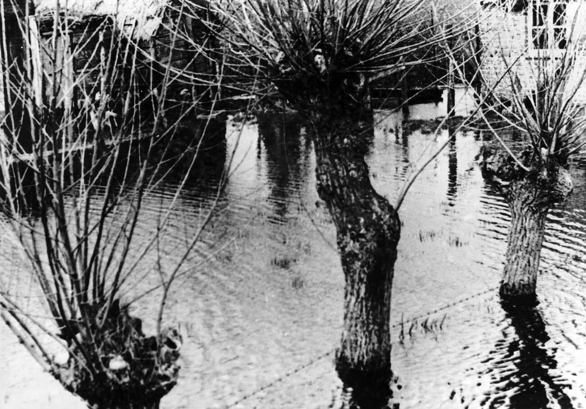 Flooded farmstead behind a coastal battery on the Atlantic Wall, 1944