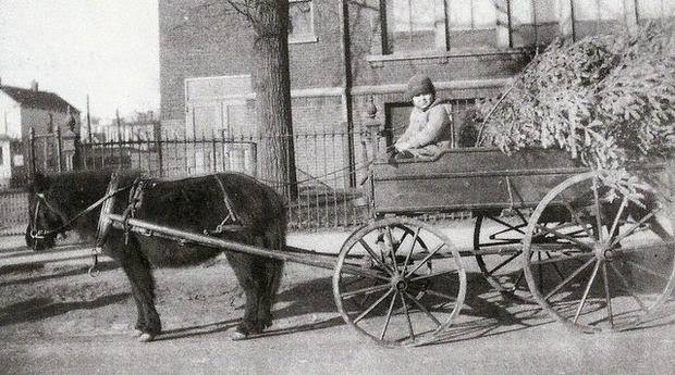 Herman Gauch and Peanuts the horse delivering Christmas trees along Schuyler Avenue in Kearny, 1920s