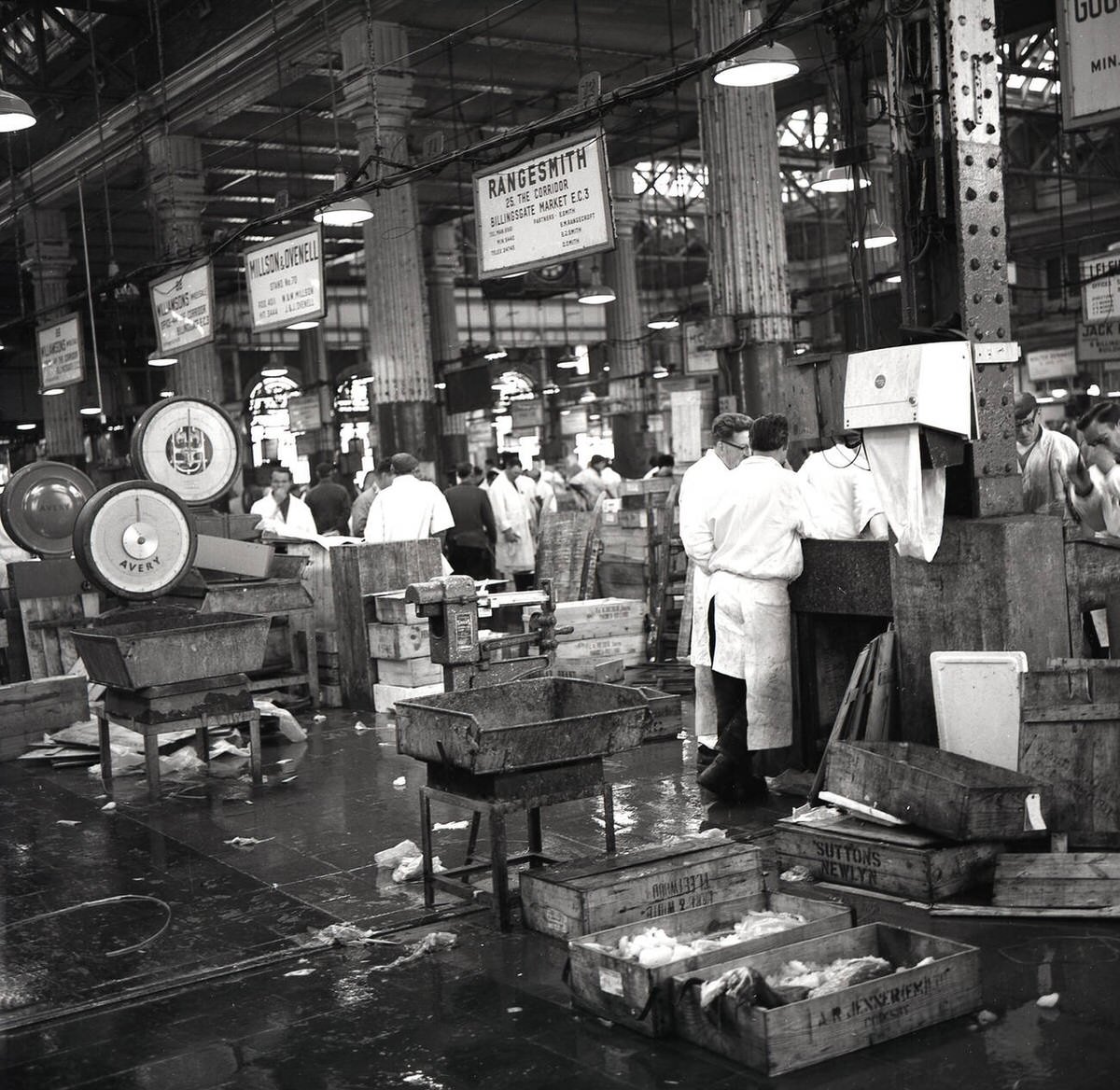 Activity inside the trading hall of Billingsgate Fish Market showing Rangesmith company merchants, 1950s