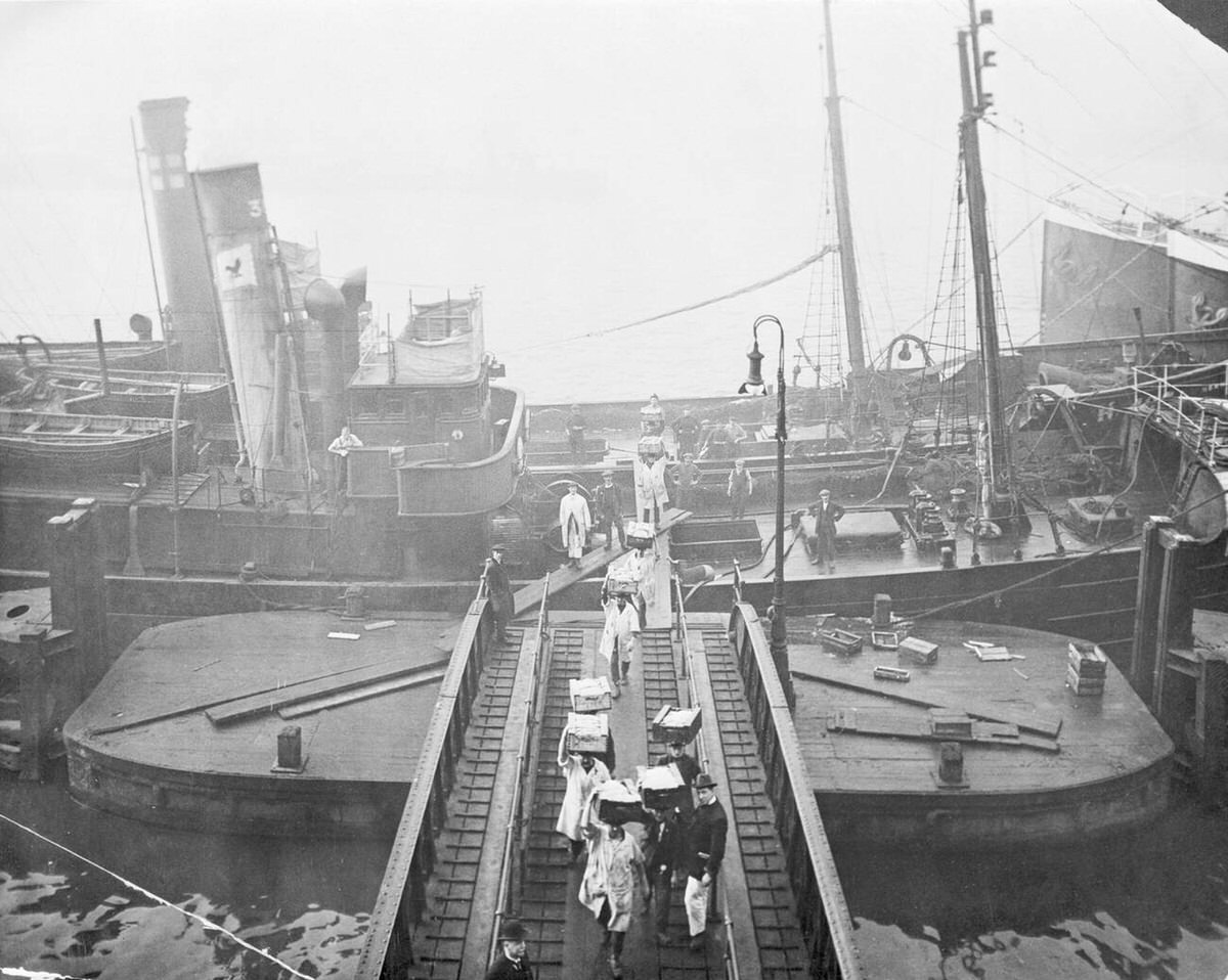 Unloading a fishing boat at Billingsgate Market, 1923
