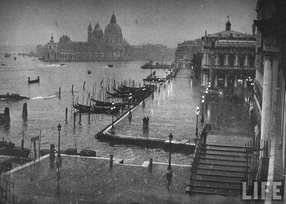 Moored gondolason Grand Canal in front of Piazza San Marco w. Santa Maria della Salute Church in the background.