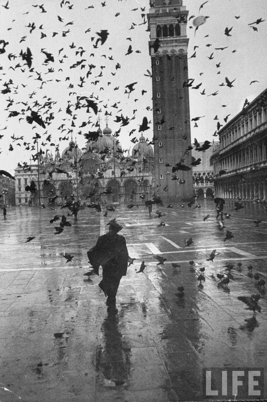 Pigeons flocking above pedestrians crossing Piazza San Marco on a rainy Venice day.