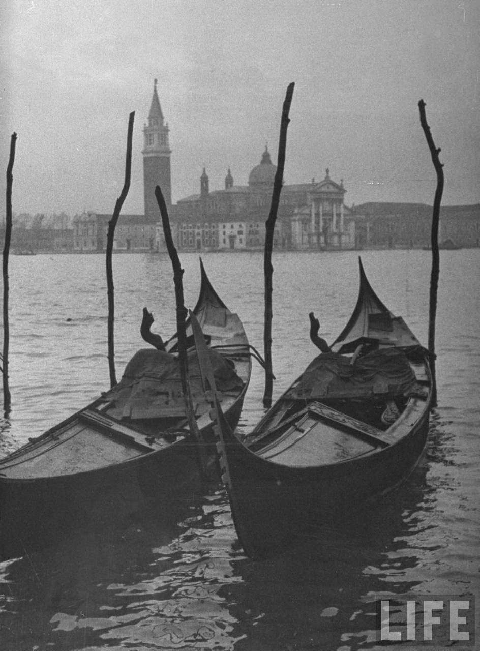 Moored gondolas on Grand Canal w. Santa Maria della Salute Church in the background.