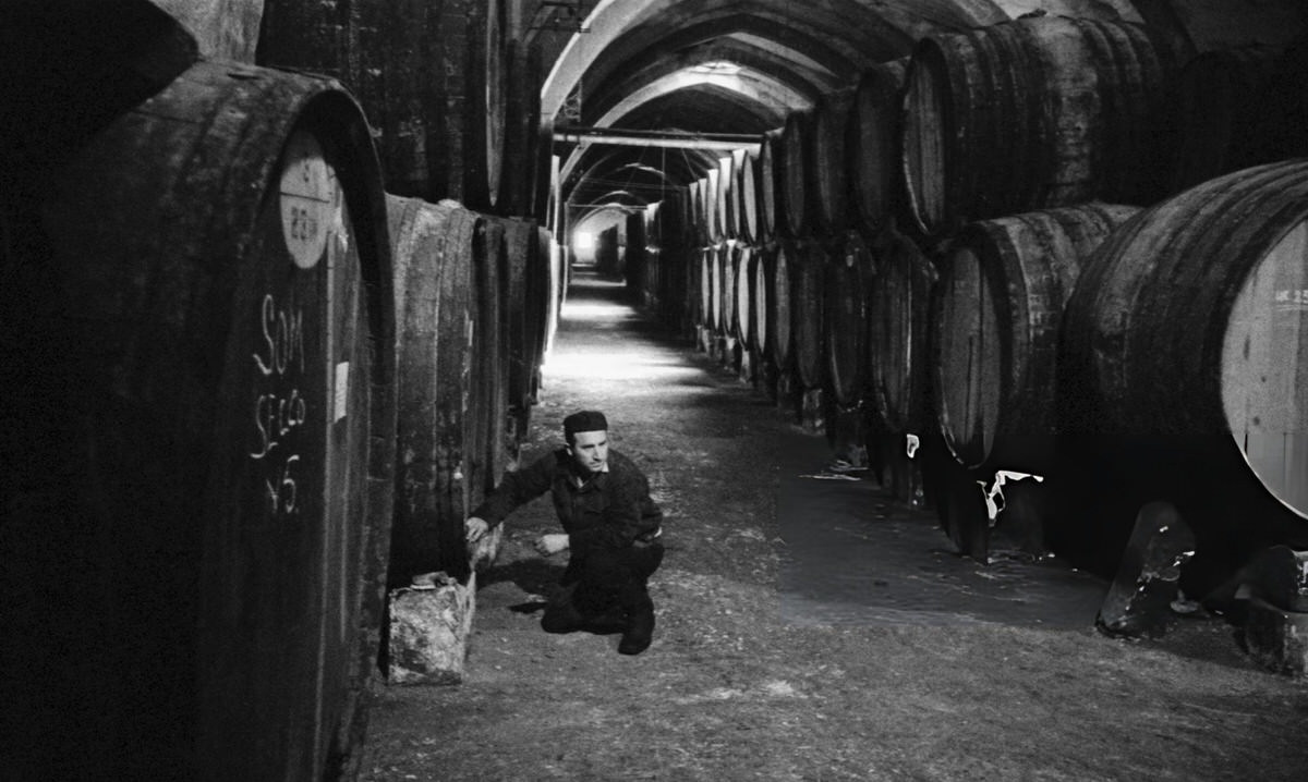 Man posing beside a barrel at the Florio wine cellar in Marsala, 1950s