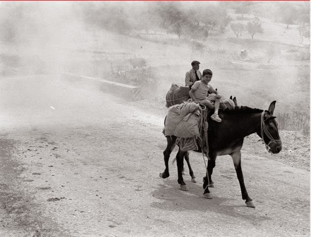 What Sicily looked like in the 1950s through these Fascinating Vintage Photos