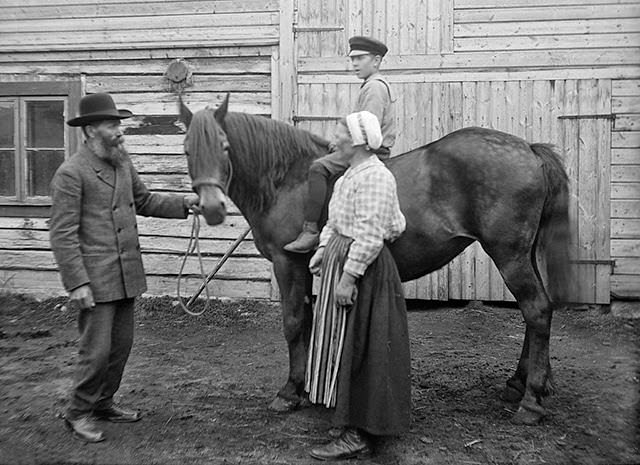 Vintage Portraits of 1930s Sweden: Bearded Men, Families, and Everyday Life Captured by Einar Erici