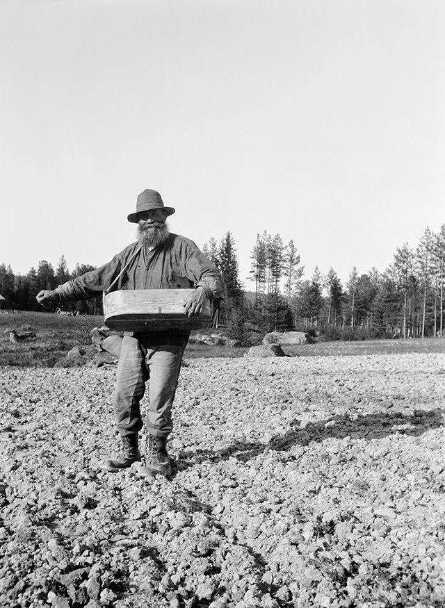 Vintage Portraits of 1930s Sweden: Bearded Men, Families, and Everyday Life Captured by Einar Erici