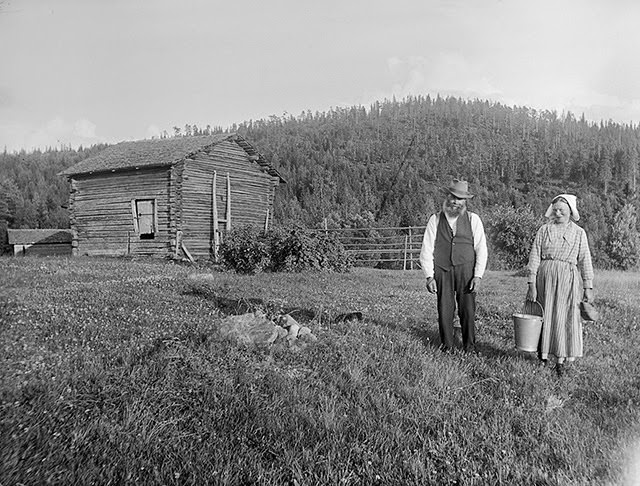 Vintage Portraits of 1930s Sweden: Bearded Men, Families, and Everyday Life Captured by Einar Erici