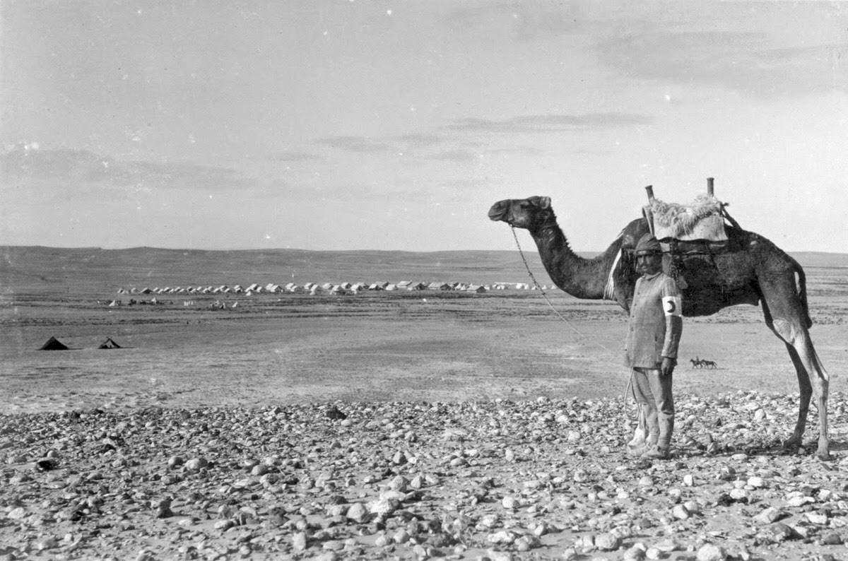 Red Crescent Hospital at Hafir Aujah, 1916
