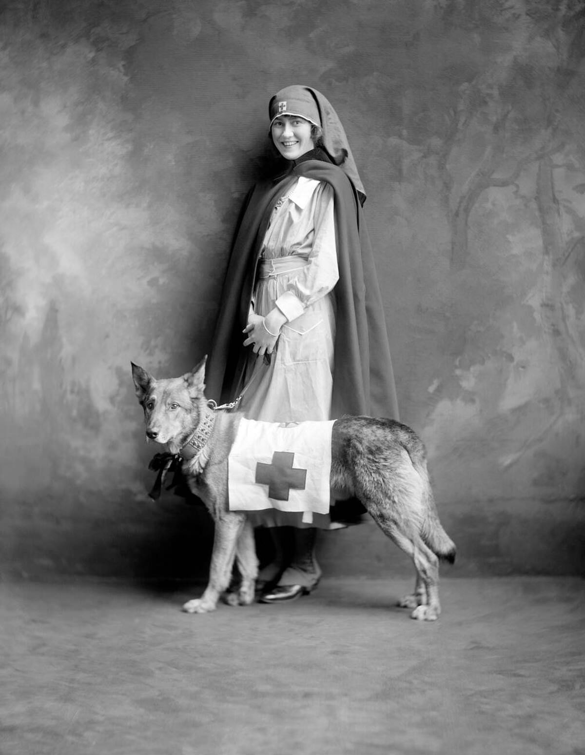 Red Cross nurse and service dog during World War I, 1917