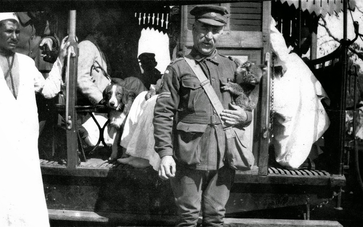 Corporal holding a koala pet in Cairo, 1915