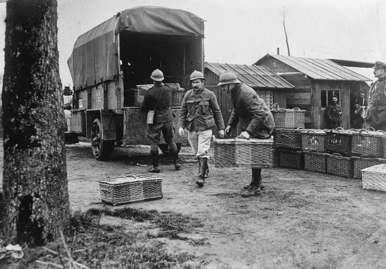 Belgian Army homing pigeon stations, 1914