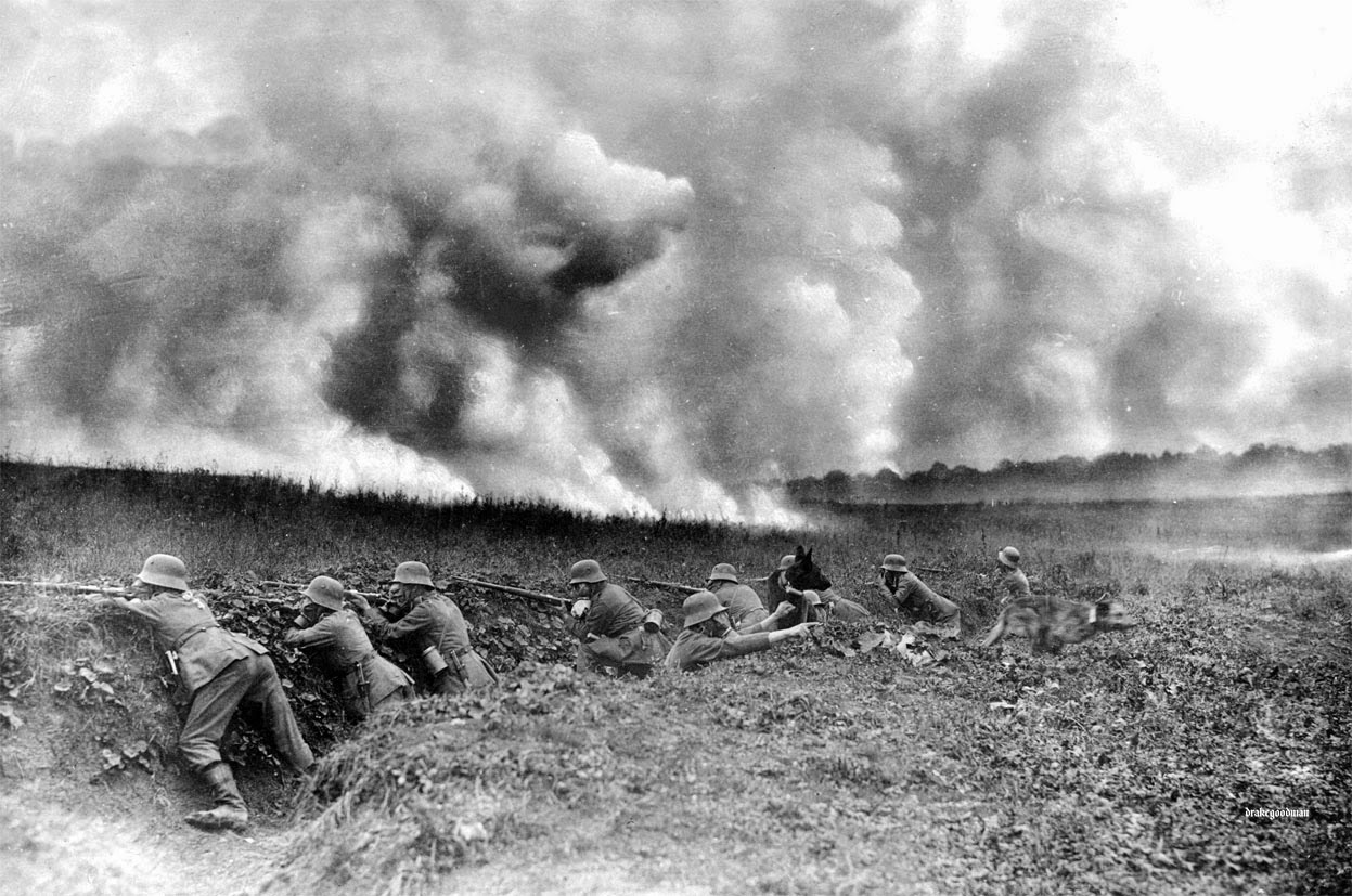 German messenger dog loosed by a handler during a gas attack near St. Quentin, 1918