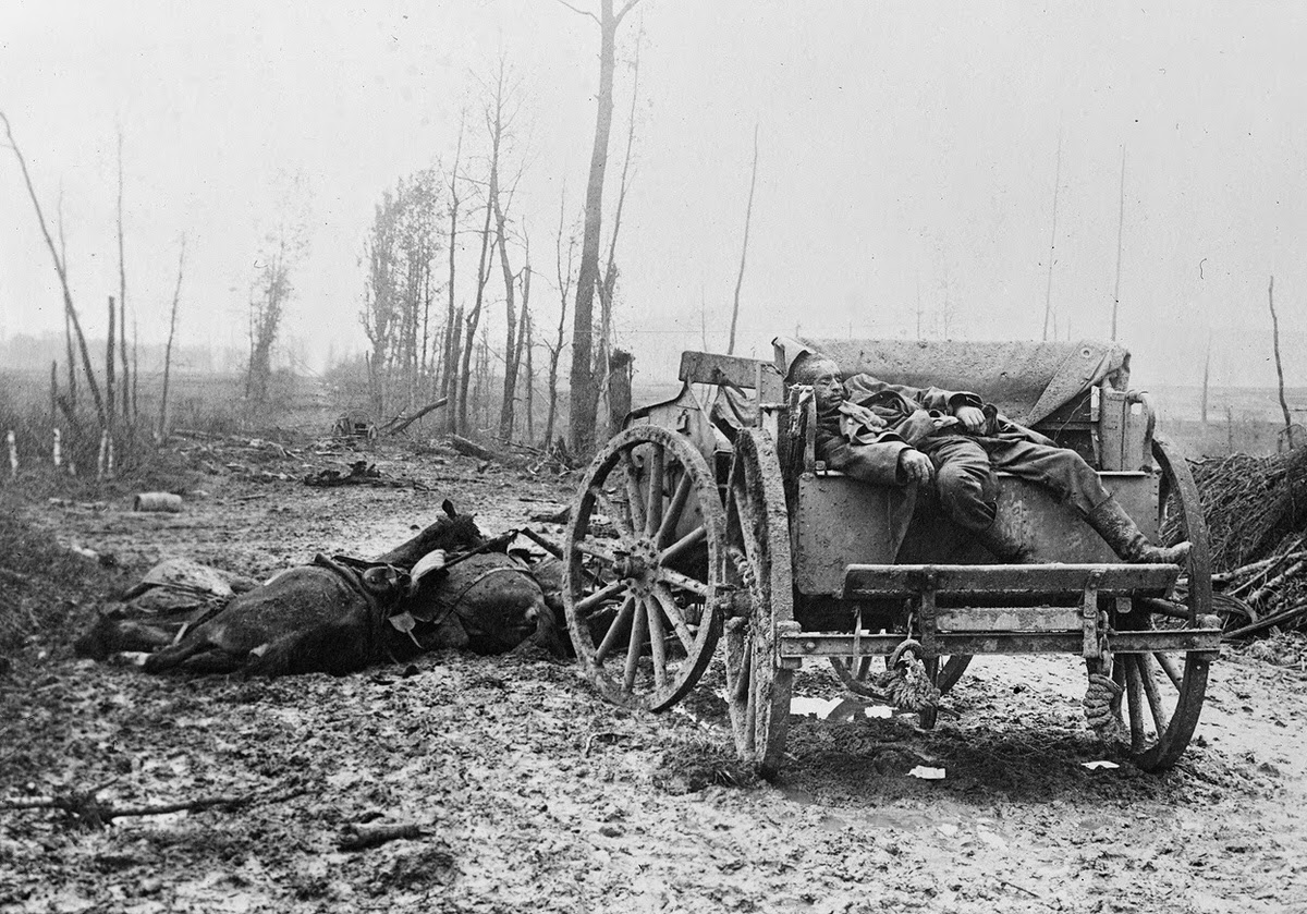 Dead German artilleryman and draft horses on the Western Front, 1918