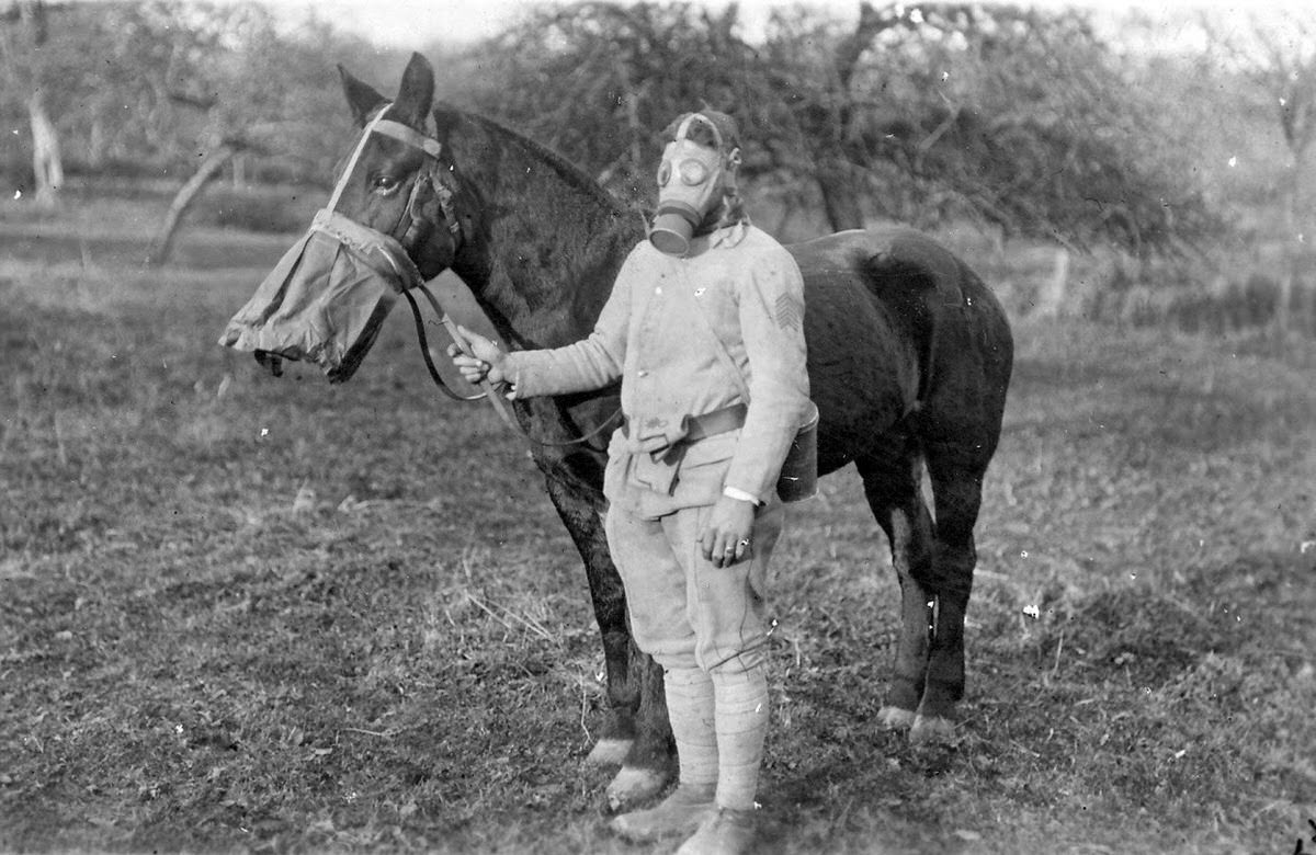 Soldier and his horse wearing gas masks, 1918
