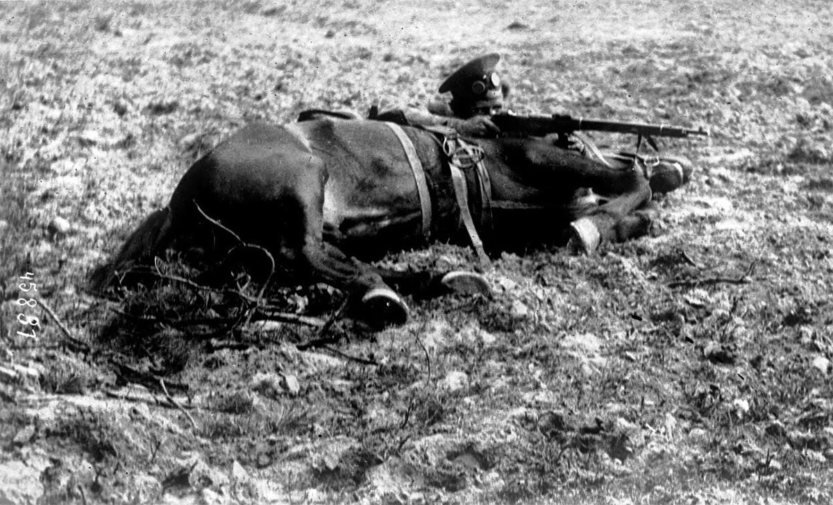 Russian Cossack in firing position behind his horse, 1915