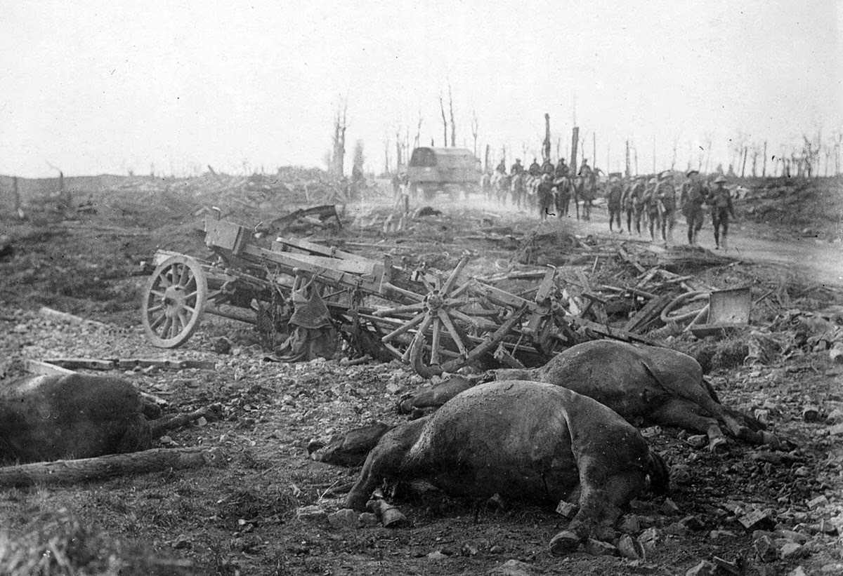 Dead horses and a broken cart on Menin Road in the Ypres sector, 1917
