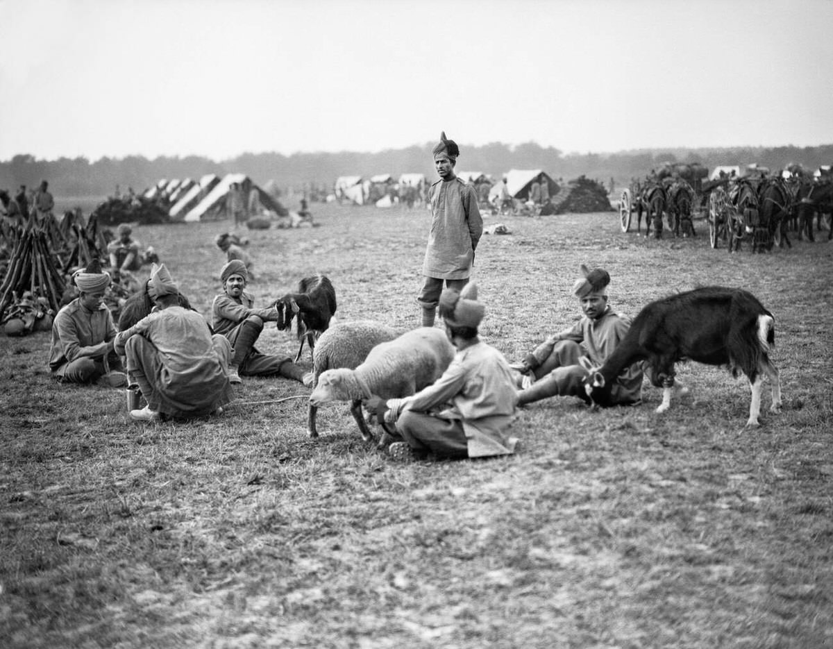 Soldiers of the 3rd Lahore Indian Division with goats at their camp in Orleans, France, 1914