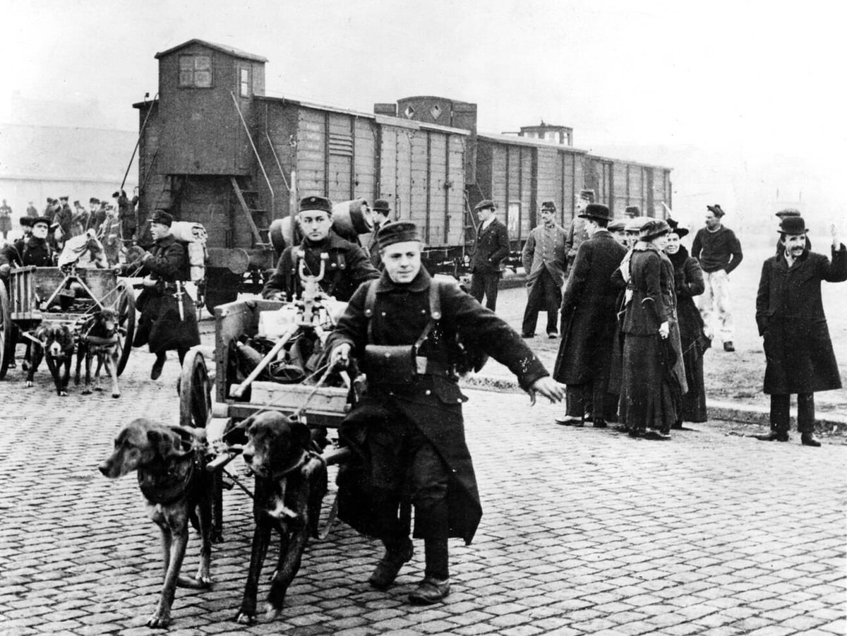 Belgian dog carts and guns heading to the fighting line, 1914